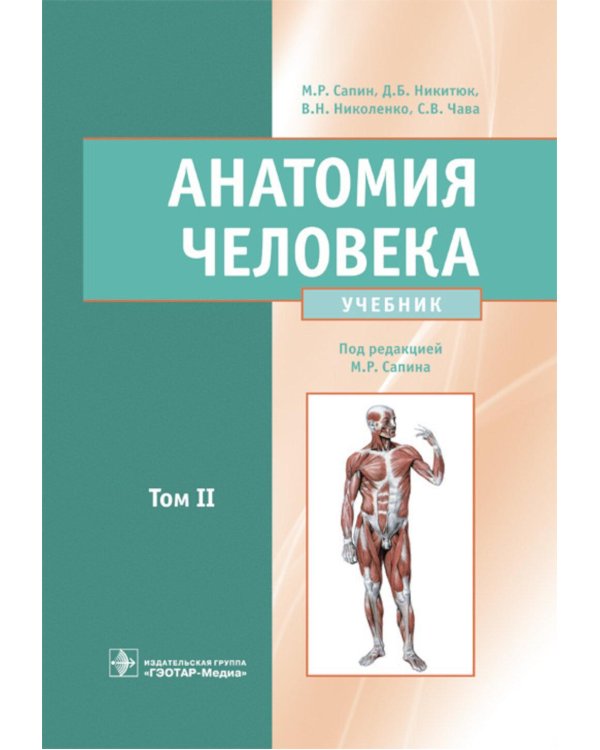 Анатомия человека: Учебник: в 2 т. Т. 2