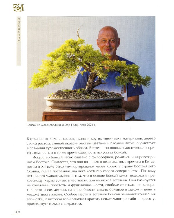 Бонсай. Маленькие деревья для большой радости. Как заниматься бонсай в климате средней полосы России, наслаждаясь процессом и результатом