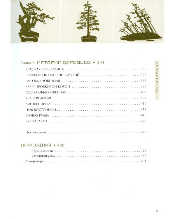 Бонсай. Маленькие деревья для большой радости. Как заниматься бонсай в климате средней полосы России, наслаждаясь процессом и результатом