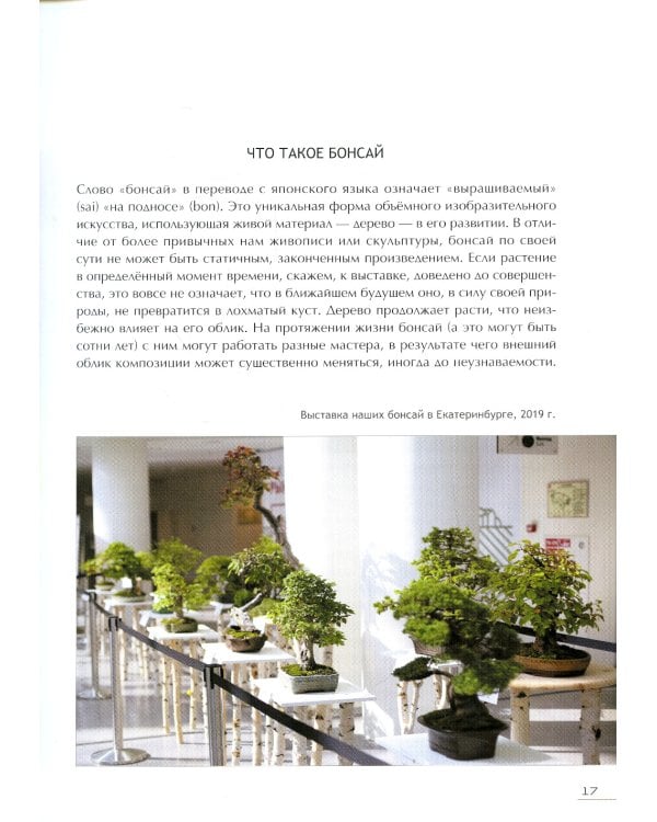 Бонсай. Маленькие деревья для большой радости. Как заниматься бонсай в климате средней полосы России, наслаждаясь процессом и результатом