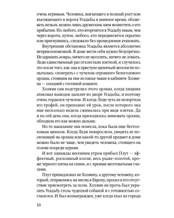 Лэд: повесть