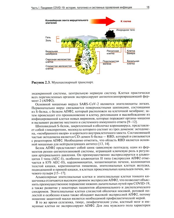 Медицинская реабилитация при COVID-19. Руководство для врачей.