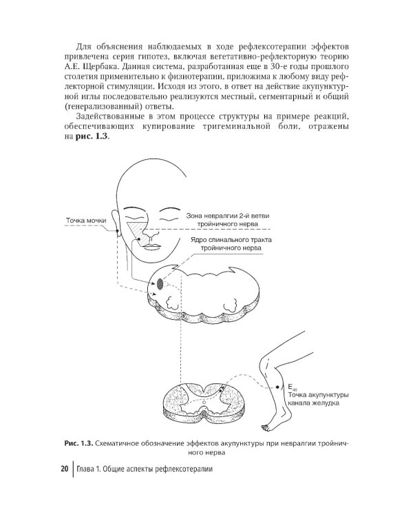 Биопунктурная стимуляция при дорсопатиях: руководство для врачей. 3-е изд., перераб. и доп