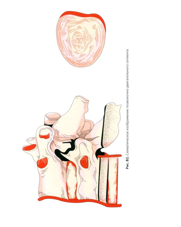 Биопунктурная стимуляция при дорсопатиях: руководство для врачей. 3-е изд., перераб. и доп