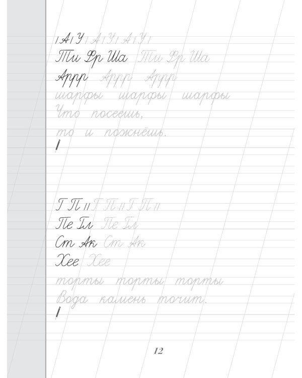 Каллиграфический почерк. Тренируем шаг за шагом = Каллиграфический почерк шаг за шагом