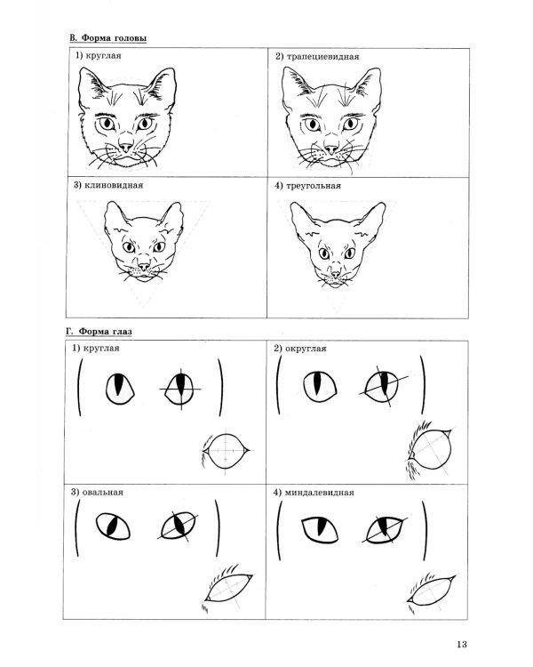 ОГЭ 2025. Биология. 32 варианта. Типовые варианты экзаменационных заданий