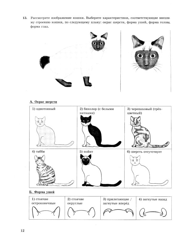 ОГЭ 2025. Биология. 32 варианта. Типовые варианты экзаменационных заданий