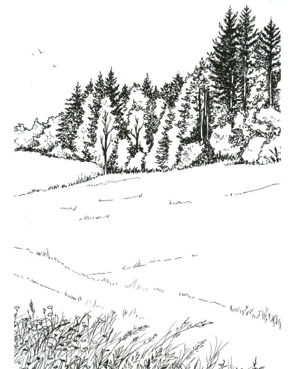 Бегущие по кромке леса