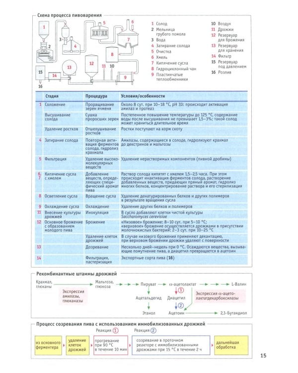 Наглядная биотехнология и генетическая инженерия. 3-е изд., испр