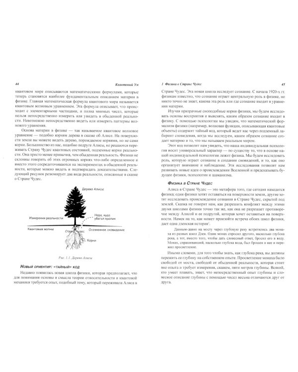 Квантовый ум: грань между физикой и психологией