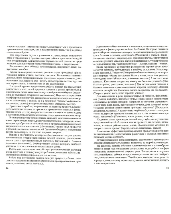 Развитие речи детей 5-6 лет. Старшая группа