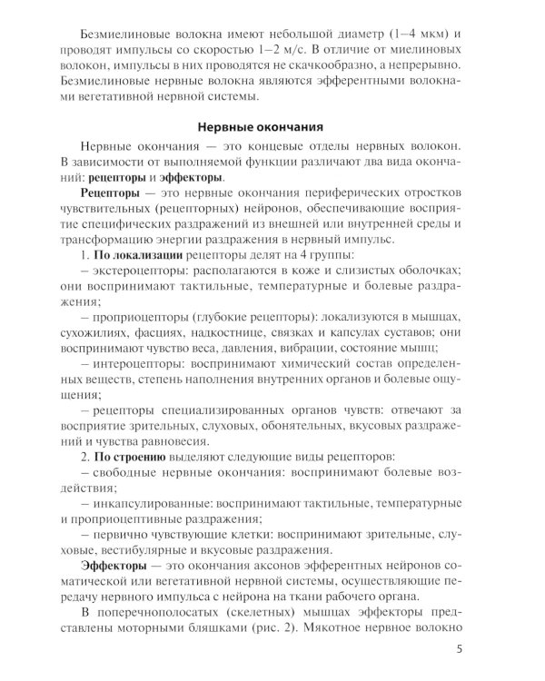 Анатомия центральной нервной системы. Краткий курс: Учебное пособие. 15-е изд., перераб. и доп