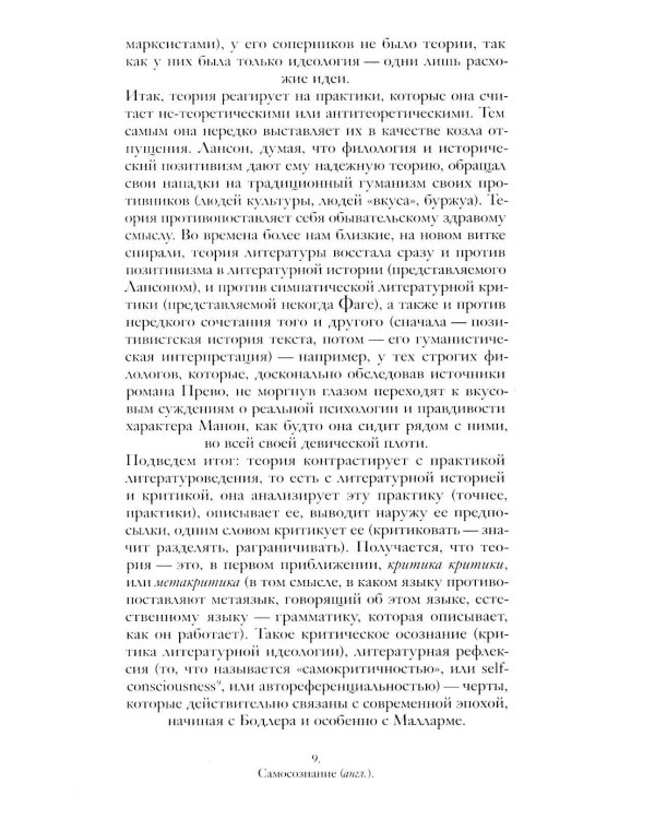 Демон теории. Литература и здравый смысл