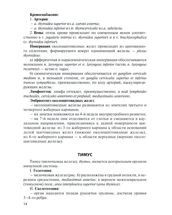 Функциональная анатомия эндокринной системы: Учебное пособие. 10-е изд., доп. и испр
