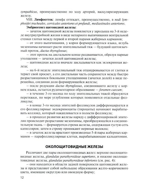Функциональная анатомия эндокринной системы: Учебное пособие. 10-е изд., доп. и испр