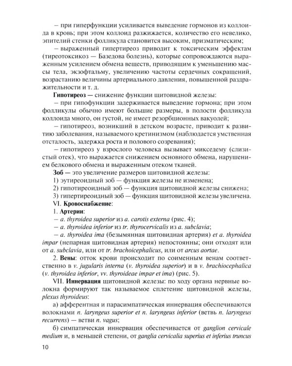 Функциональная анатомия эндокринной системы: Учебное пособие. 10-е изд., доп. и испр