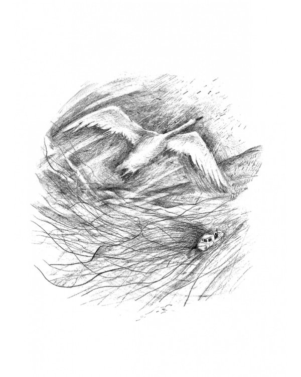 Лебединая песня