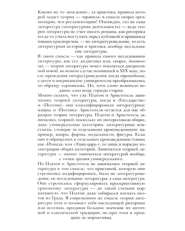 Демон теории. Литература и здравый смысл