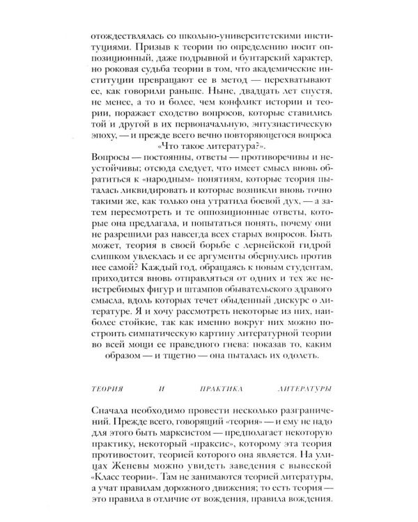 Демон теории. Литература и здравый смысл