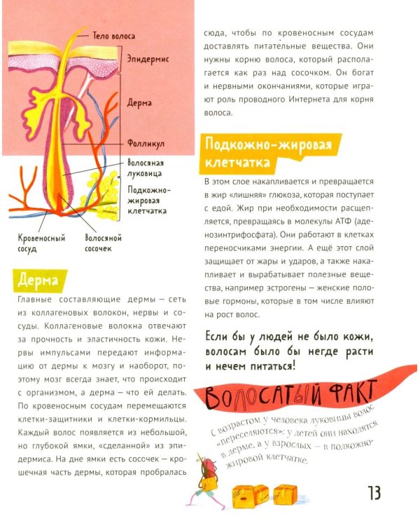 Волосатая энциклопедия