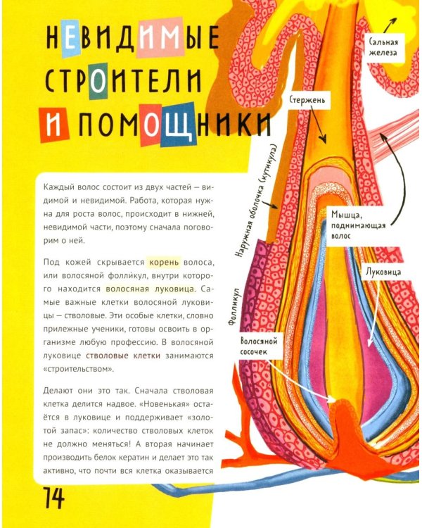 Волосатая энциклопедия