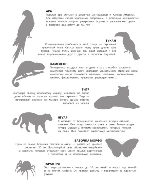 В джунглях. 150 наклеек: обучающая книга-игра