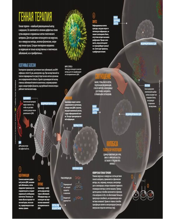 Тайны тела человека. Большая иллюстрированная энциклопедия