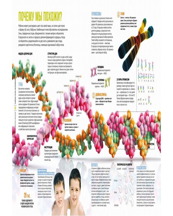 Тайны тела человека. Большая иллюстрированная энциклопедия
