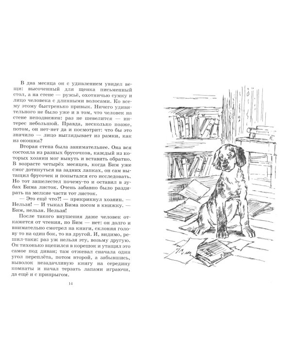 Белый Бим Черное ухо: повесть