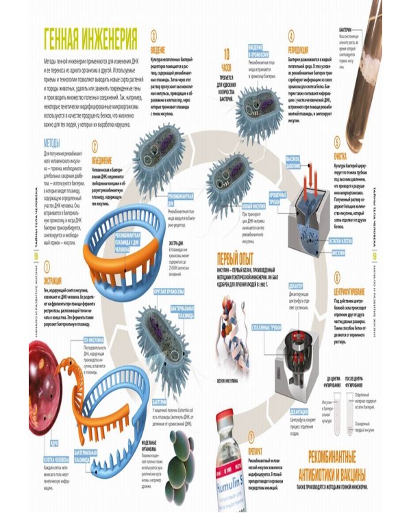 Тайны тела человека. Большая иллюстрированная энциклопедия