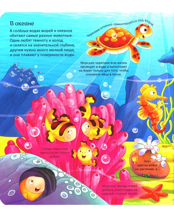 Животные. Энциклопедия с окошками