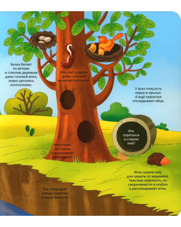 Животные. Энциклопедия с окошками