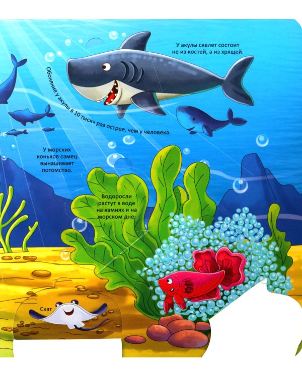 Животные. Энциклопедия с окошками