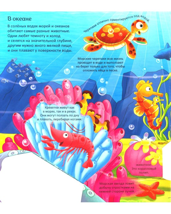 Животные. Энциклопедия с окошками