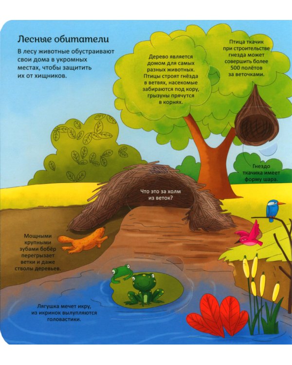 Животные. Энциклопедия с окошками