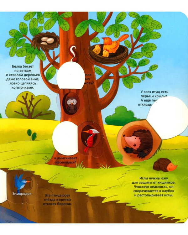 Животные. Энциклопедия с окошками