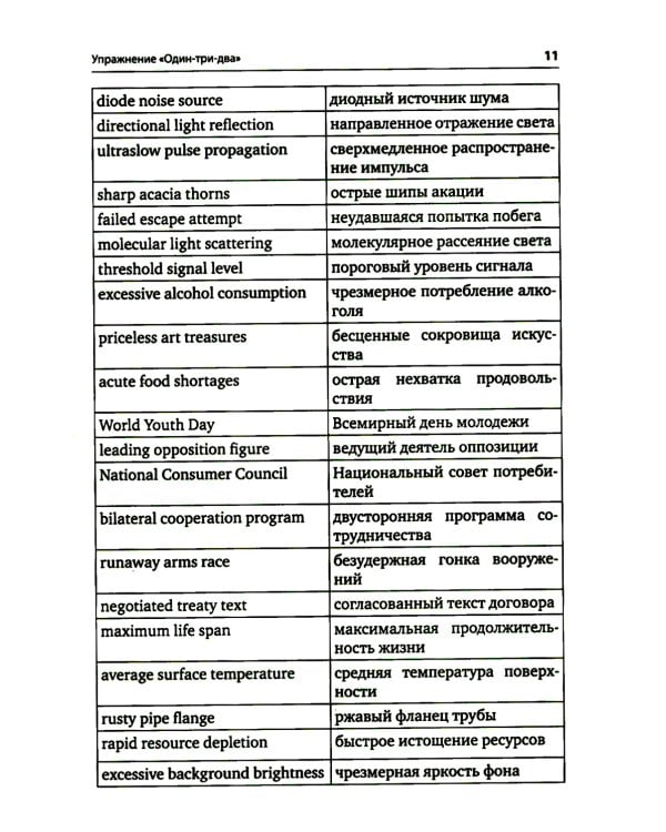 Упражнения для синхрониста. Умильные мордочки енотов. Самоучитель устного перевода с английского языка на русский