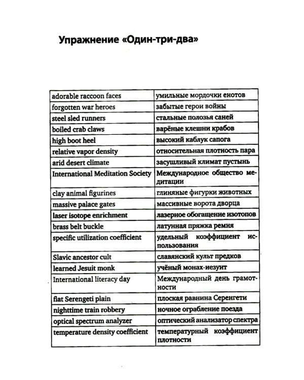 Упражнения для синхрониста. Умильные мордочки енотов. Самоучитель устного перевода с английского языка на русский