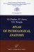 Atlas of Pathological Anatomy