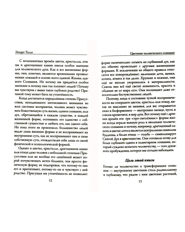Новая земля. Пробуждение к своей жизненной цели