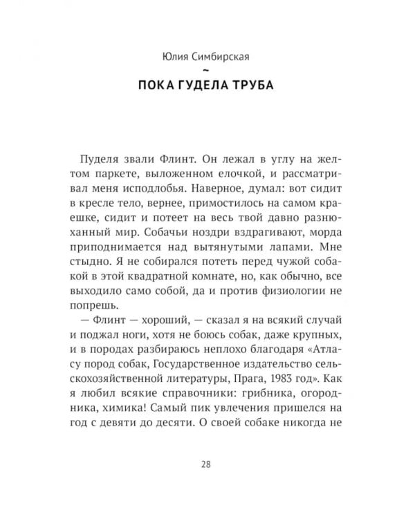 Под ярким солнцем: сборник расказов