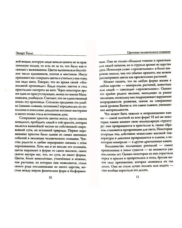 Новая земля. Пробуждение к своей жизненной цели