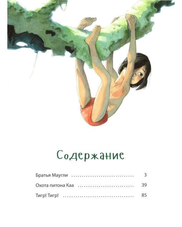 Книга джунглей. История Маугли