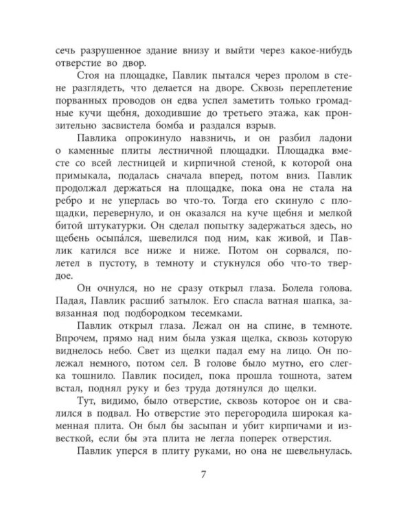 Девять братьев: повесть