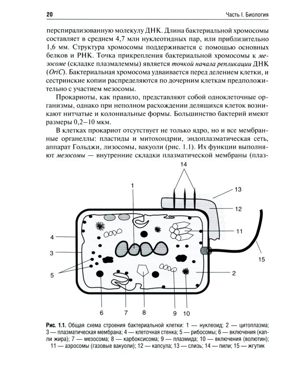 Биология: Учебник
