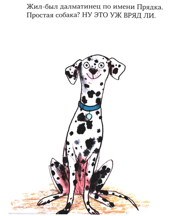 Больничная собака: стихи