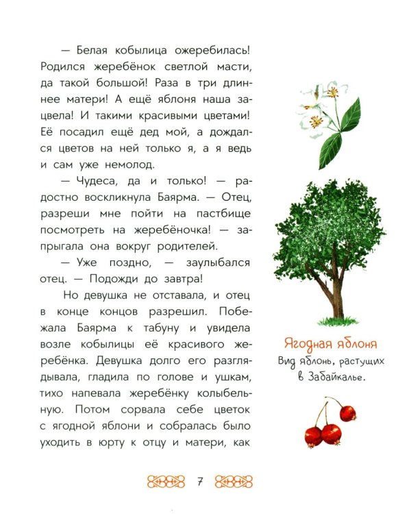 Чудо-жеребенок: бурятские сказки