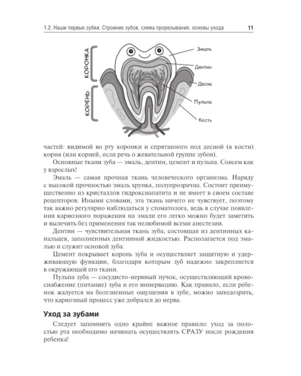 Введение в профилактическую стоматологию: Учебное пособие