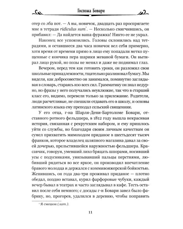 Госпожа Бовари: роман