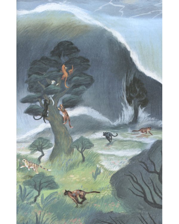 Страна хороших девочек. Котлантида